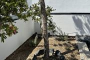 The Noverian Bios Santorini Vegan Boutique Hotel 5*