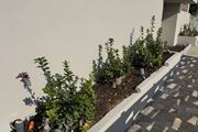Τhe Noverian Antama, Organic Beach Resort 5* Chania