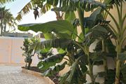 Τhe Noverian Antama, Organic Beach Resort 5* Chania
