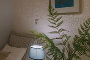 Perla Apartments 3*