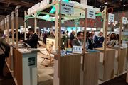 Frankfurt 2017